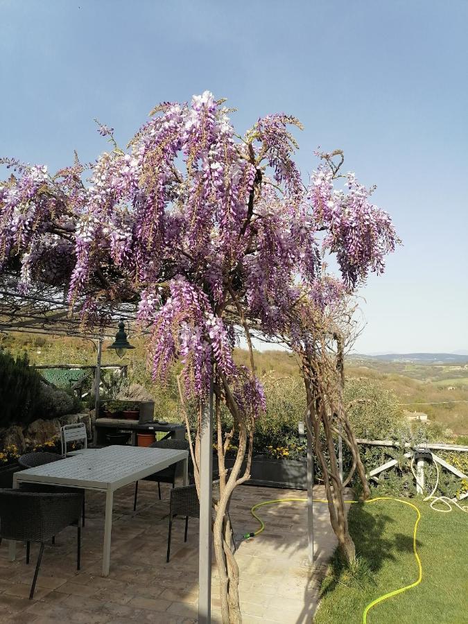 B&B Coldifiore Penna in Teverina Exterior photo