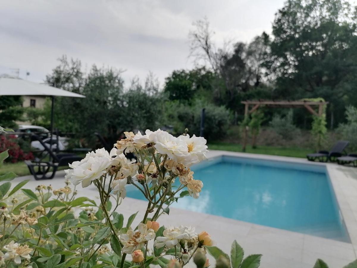 B&B Coldifiore Penna in Teverina Exterior photo