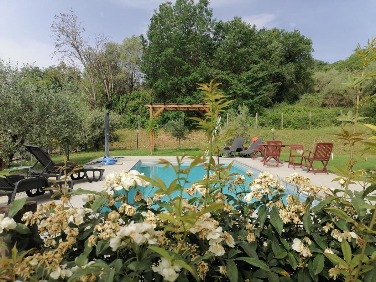 B&B Coldifiore Penna in Teverina Exterior photo