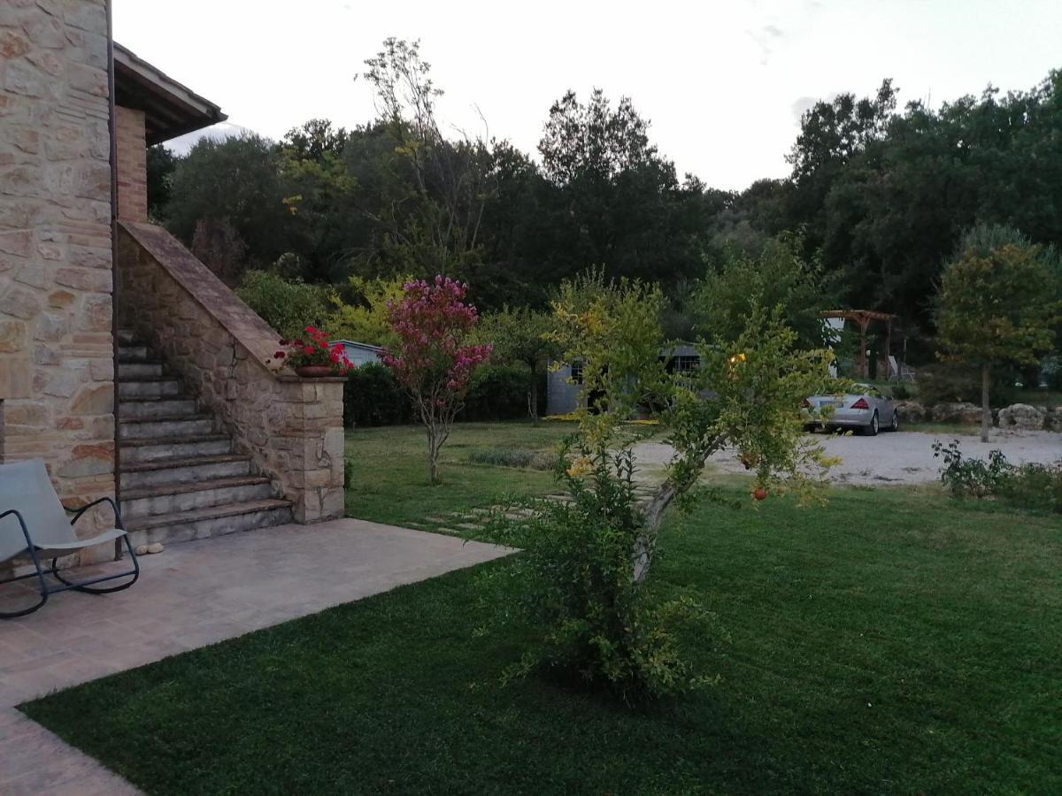B&B Coldifiore Penna in Teverina Exterior photo