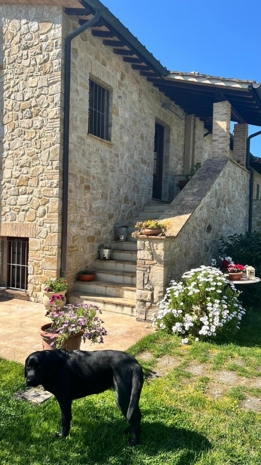 B&B Coldifiore Penna in Teverina Exterior photo